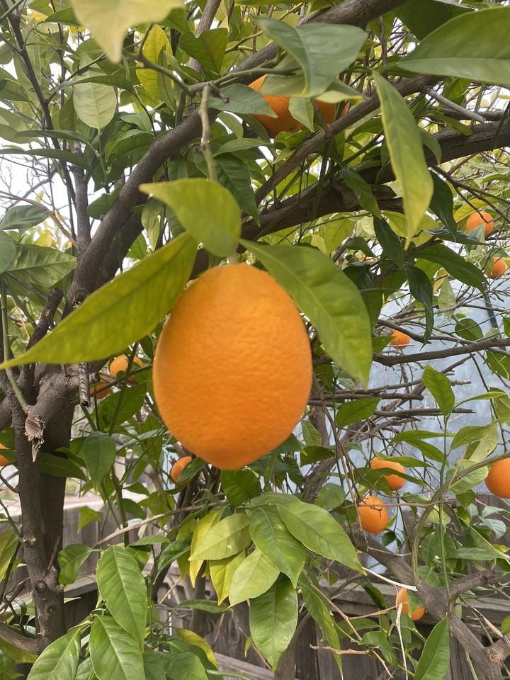 3309 Nightingale Dr #1 - Photo 4 of 23