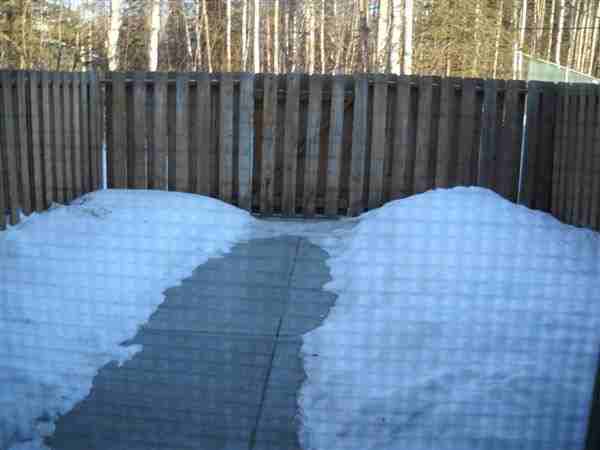 Forest Hills - Photo 3 of 10