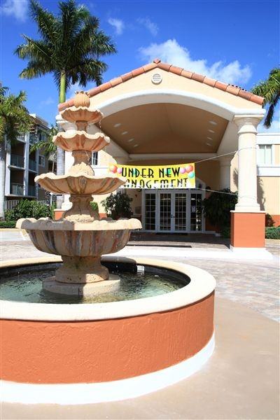 Shamrock of Sunrise - Photo 3 of 9