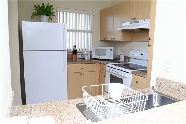 Shamrock of Sunrise - Photo 2 of 9