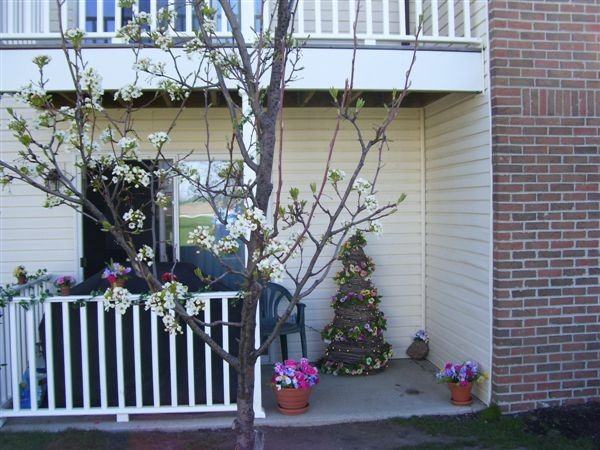 Meadow Glen - Photo 3 of 5