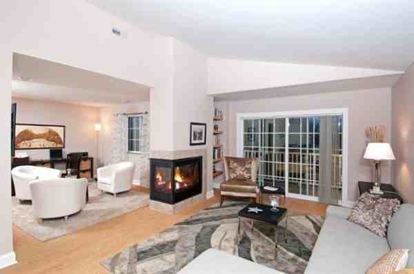 The Woods - Photo 2 of 7