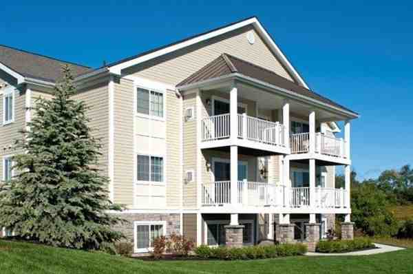 The Woods - Photo 3 of 7