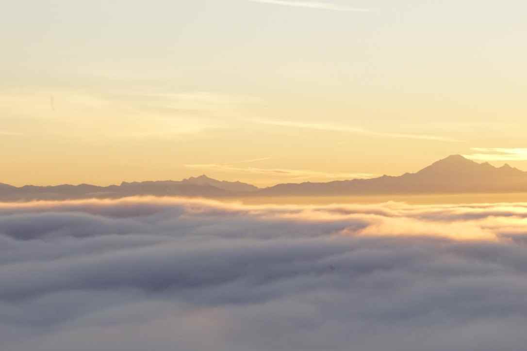 4485 Skyline Dr #4406 - Photo 3 of 43