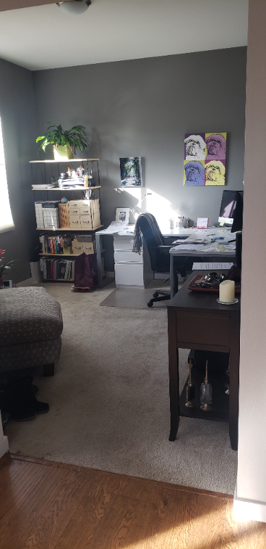 9733 Dunning Cir - Photo 5 of 17