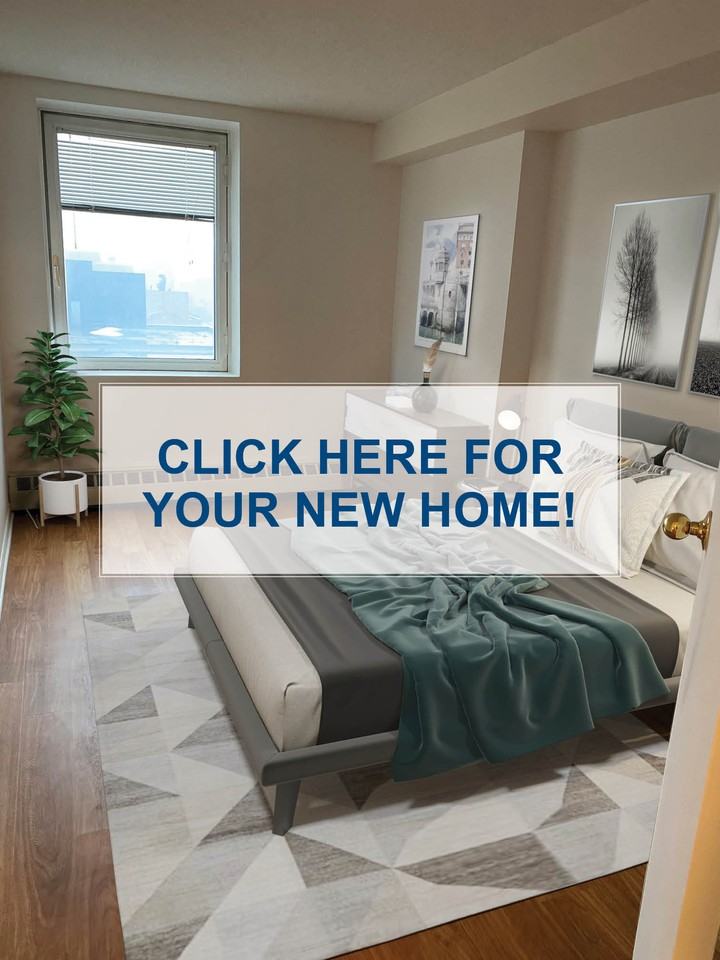 160 Chapel Apartments in Lower Town, Ottawa, ON K1N 8P5 Zumper