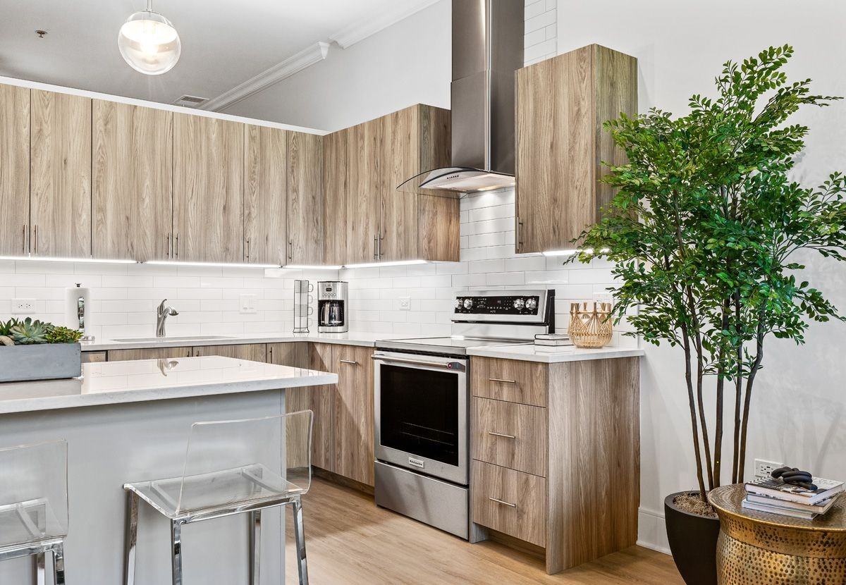 Maeve on Ridge - Photo 7 of 20