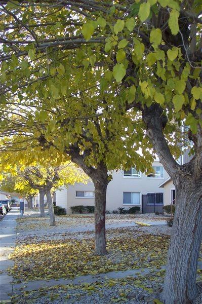 Hazelwood Villas Apartments - Photo 3 of 5