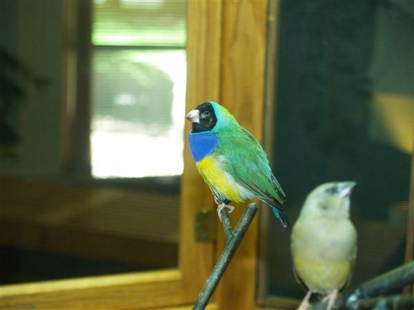 Lilac Ledge Apartments - Photo 3 of 7