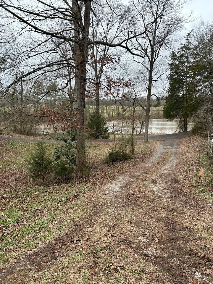 1604A Medlin Rd #1 - Photo 2 of 6