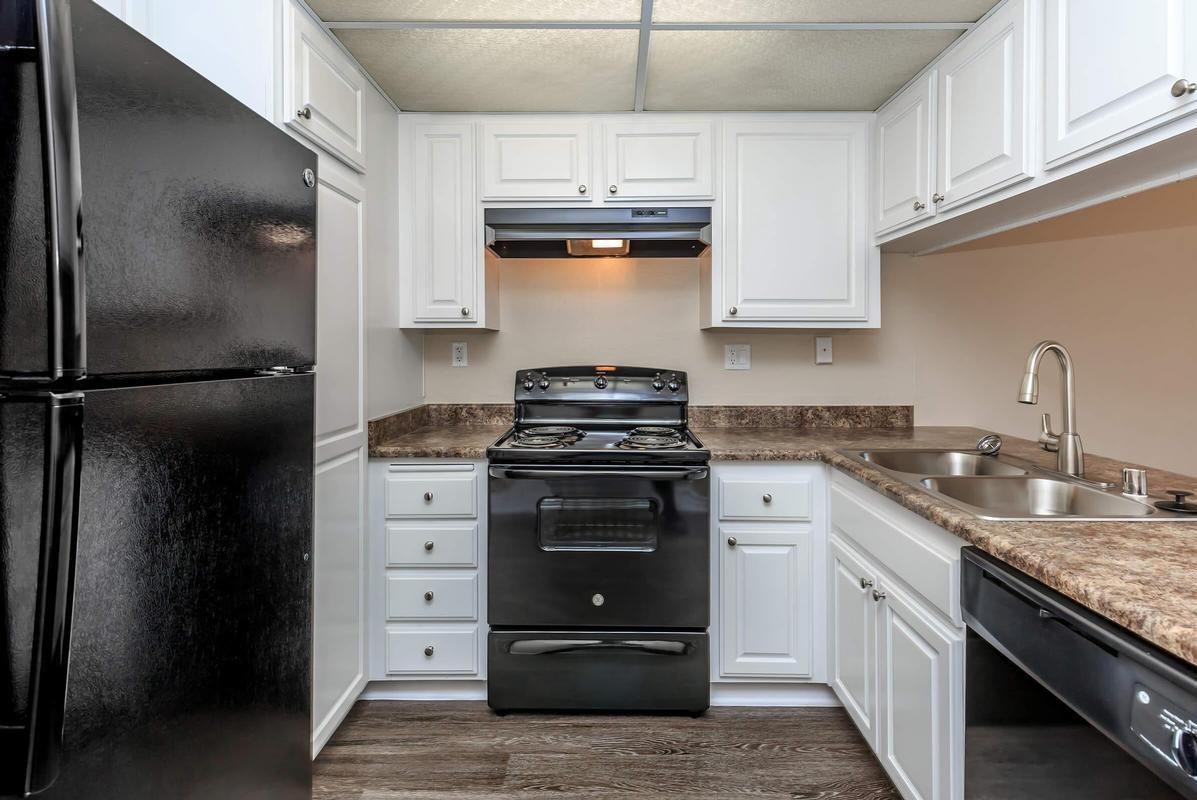 1717 E Birch St - Photo 3 of 12