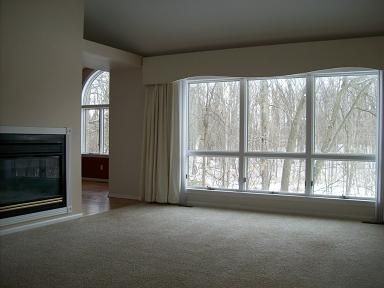 8566 Pineview Lake Dr - Photo 3 of 5