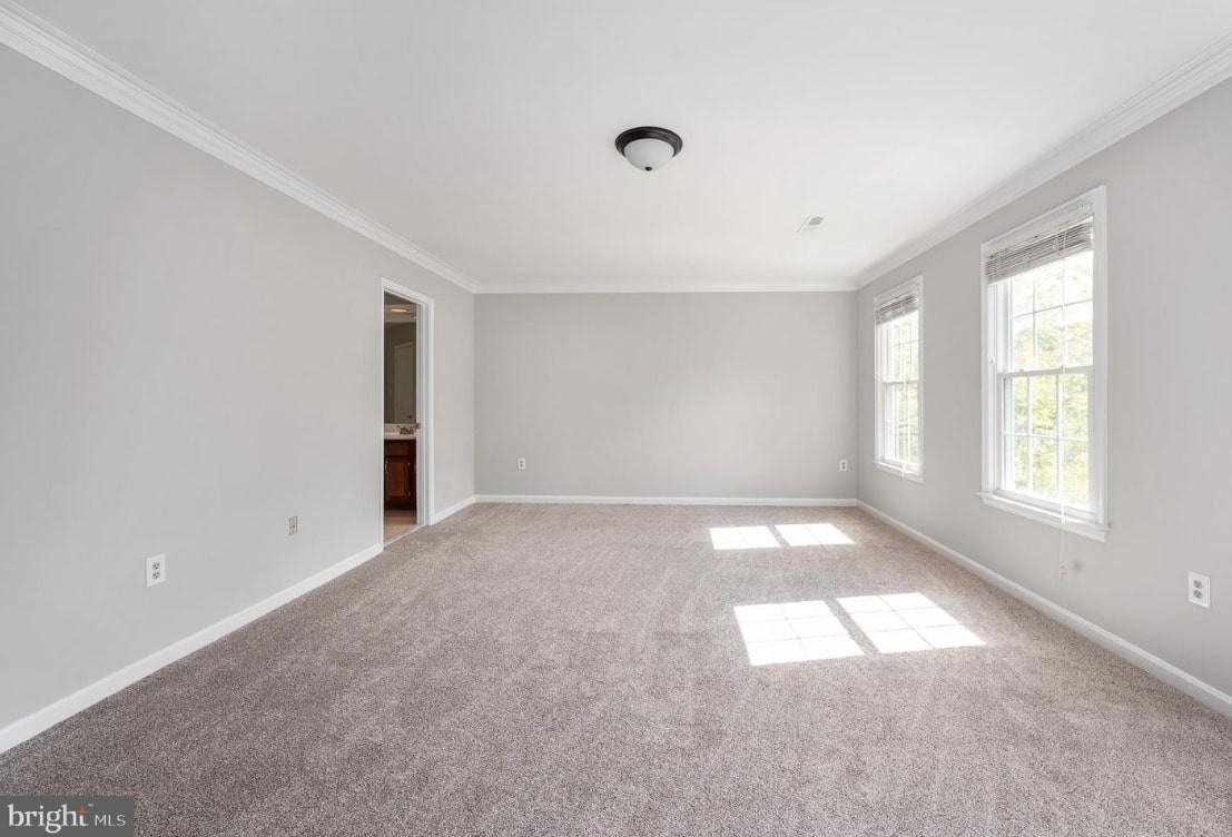 10622 Edinburgh - 1 #1 - Photo 2 of 16