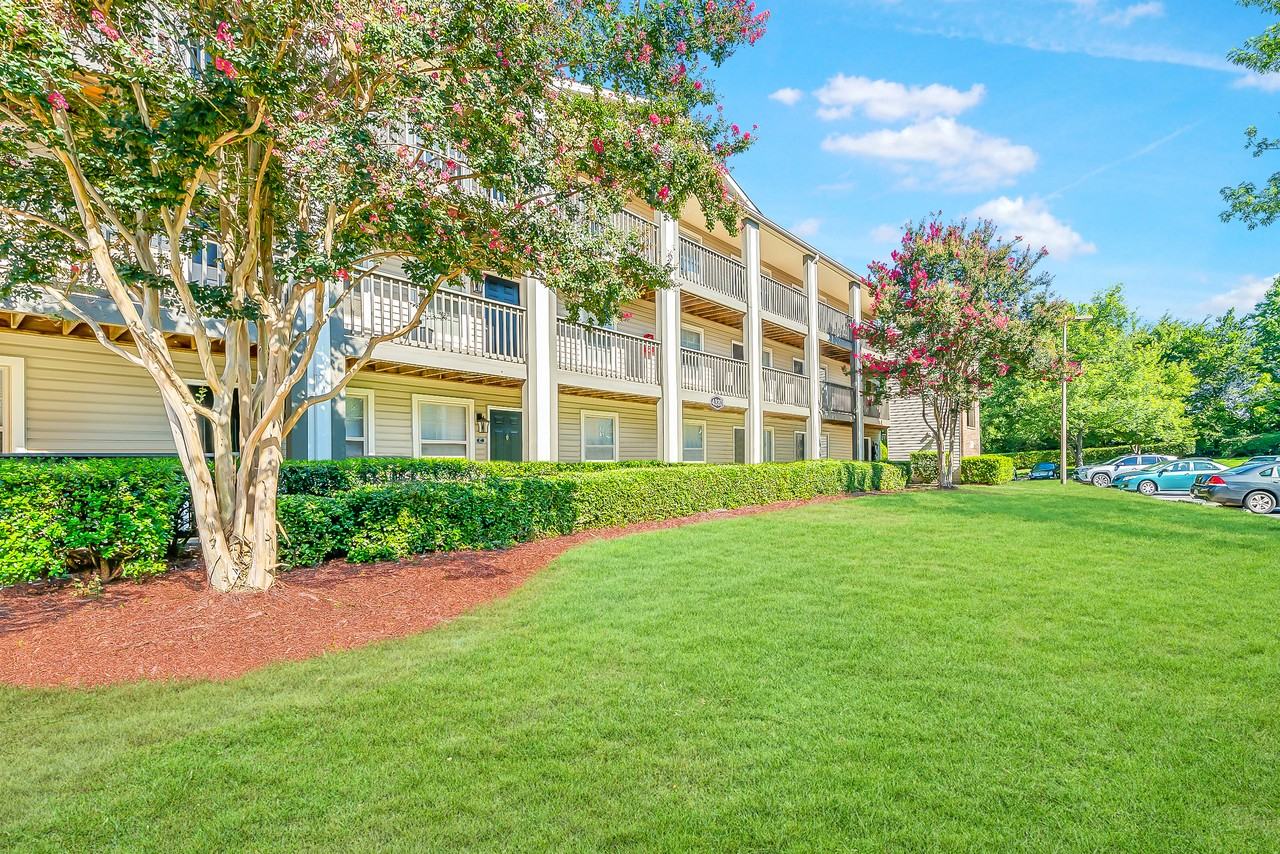 Crossing at Reedy Creek - Photo 7 of 59