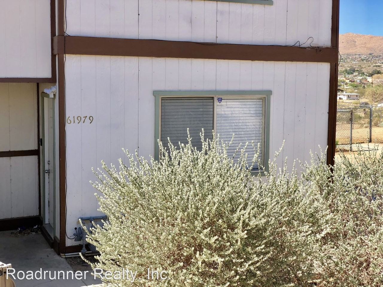 61979 Begonia - Photo 3 of 15