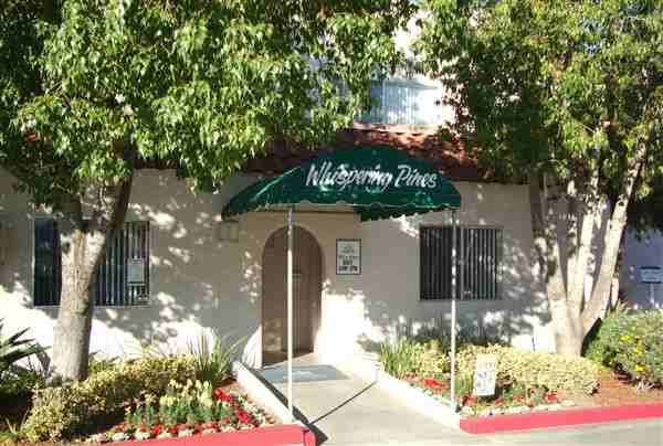 Whispering Pines - Photo 3 of 5