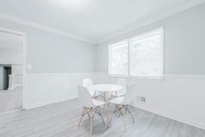 featured image of Warrior Trail