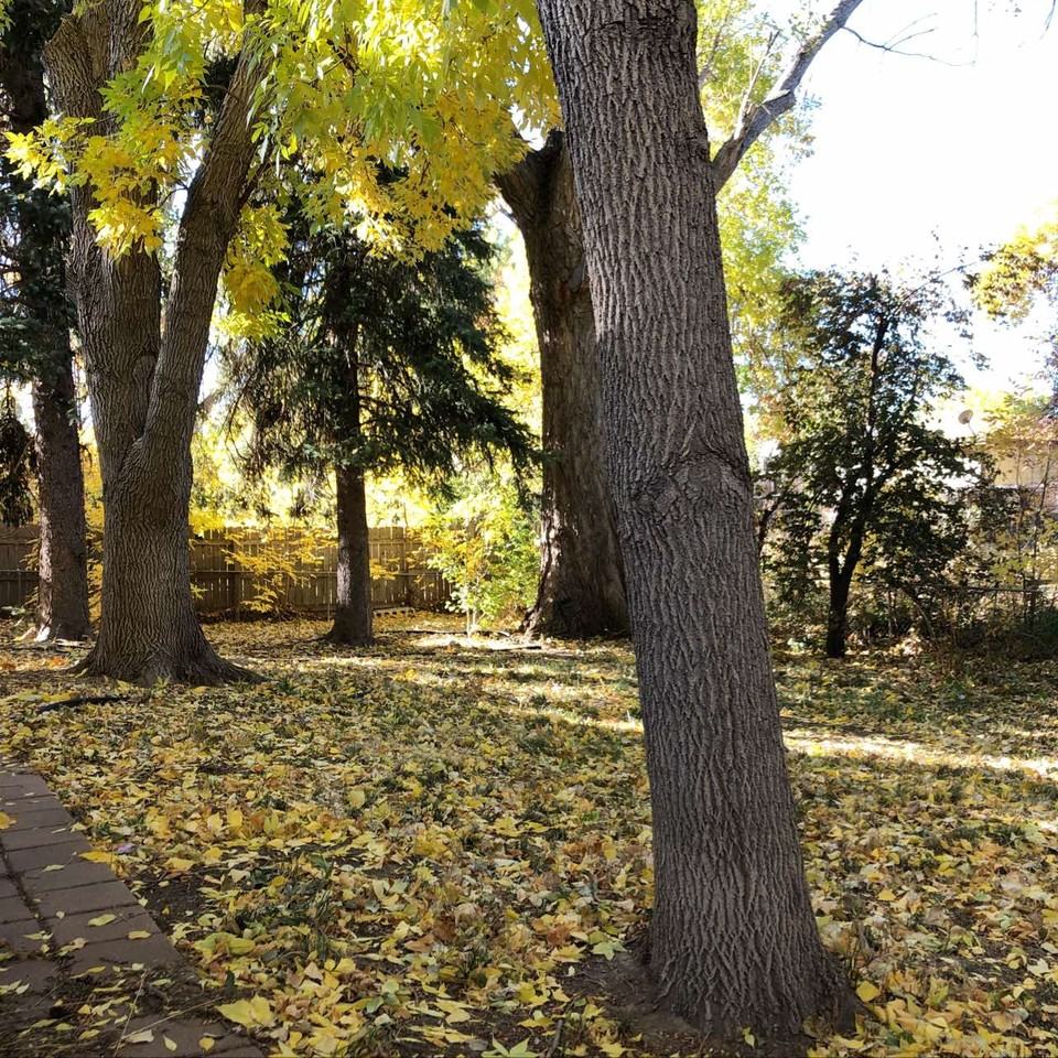 2721 Meadowlark Ave #1 - Photo 3 of 14