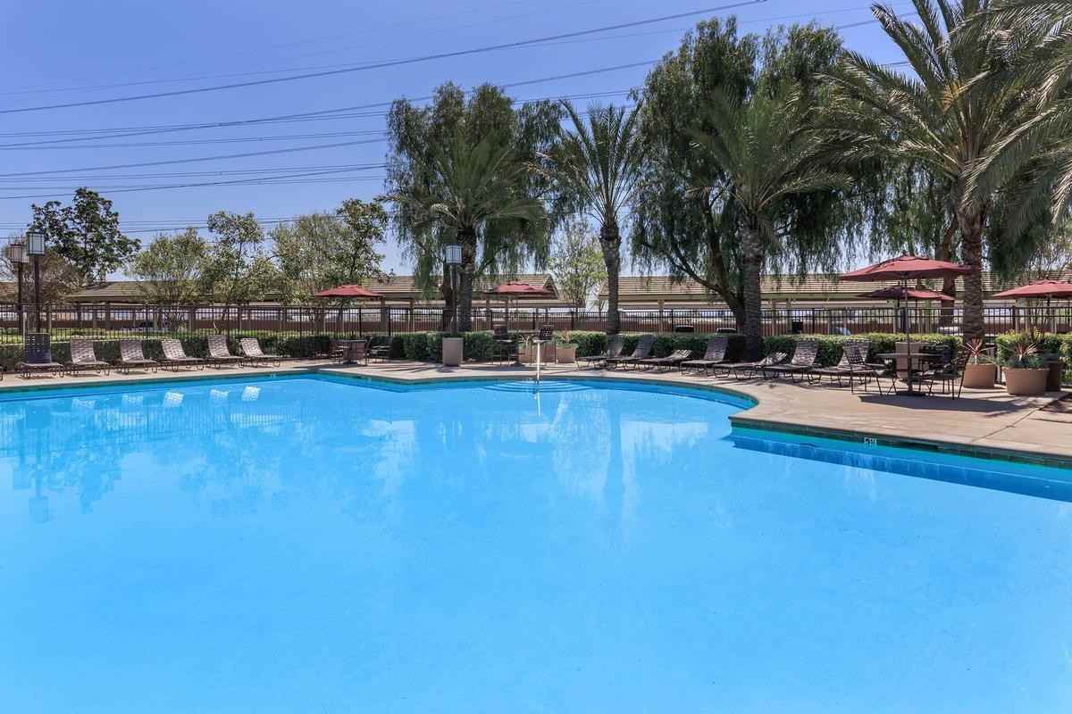 7550 Desert Holly Street - Photo 2 of 35