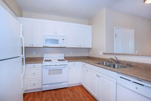 7550 Desert Holly St - Photo 1 of 1