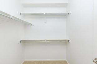 7550 Desert Holly St - Photo 1 of 1