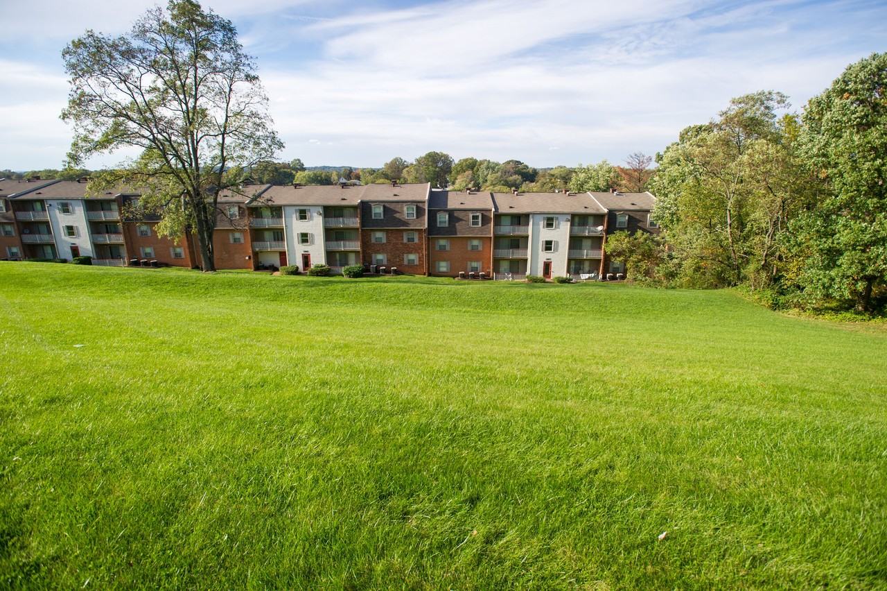 Summer Ridge - Photo 6 of 50