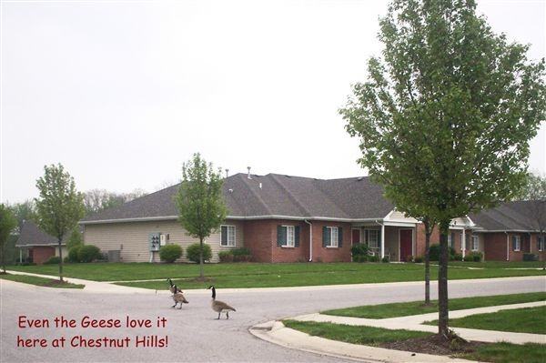 Chestnut Hills Apartments - Photo 3 of 10