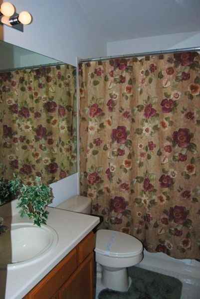 2818 Long Leaf Pine St - Photo 2 of 8