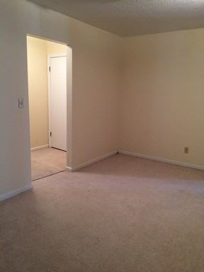 3014 Bramblewood Trail - Photo 3 of 10