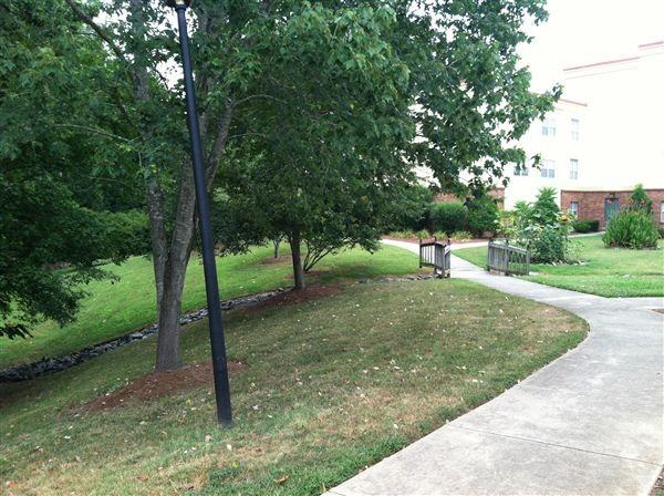 McAlpine Terrace - Photo 3 of 8