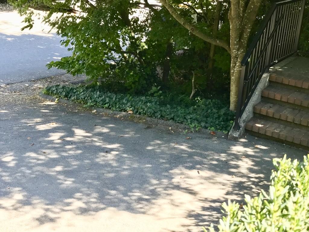 6486 Bruce Street - Photo 2 of 10