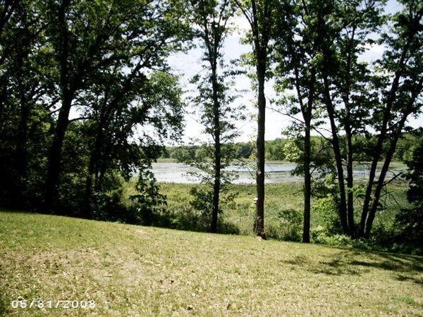 9896 Ionia Rd - Photo 3 of 10