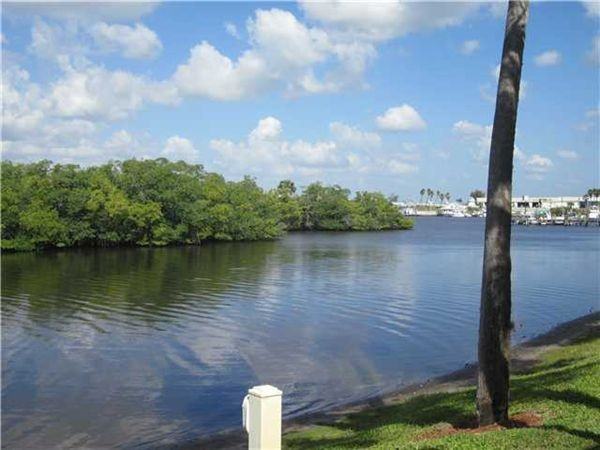 DelaBahia - Photo 2 of 3