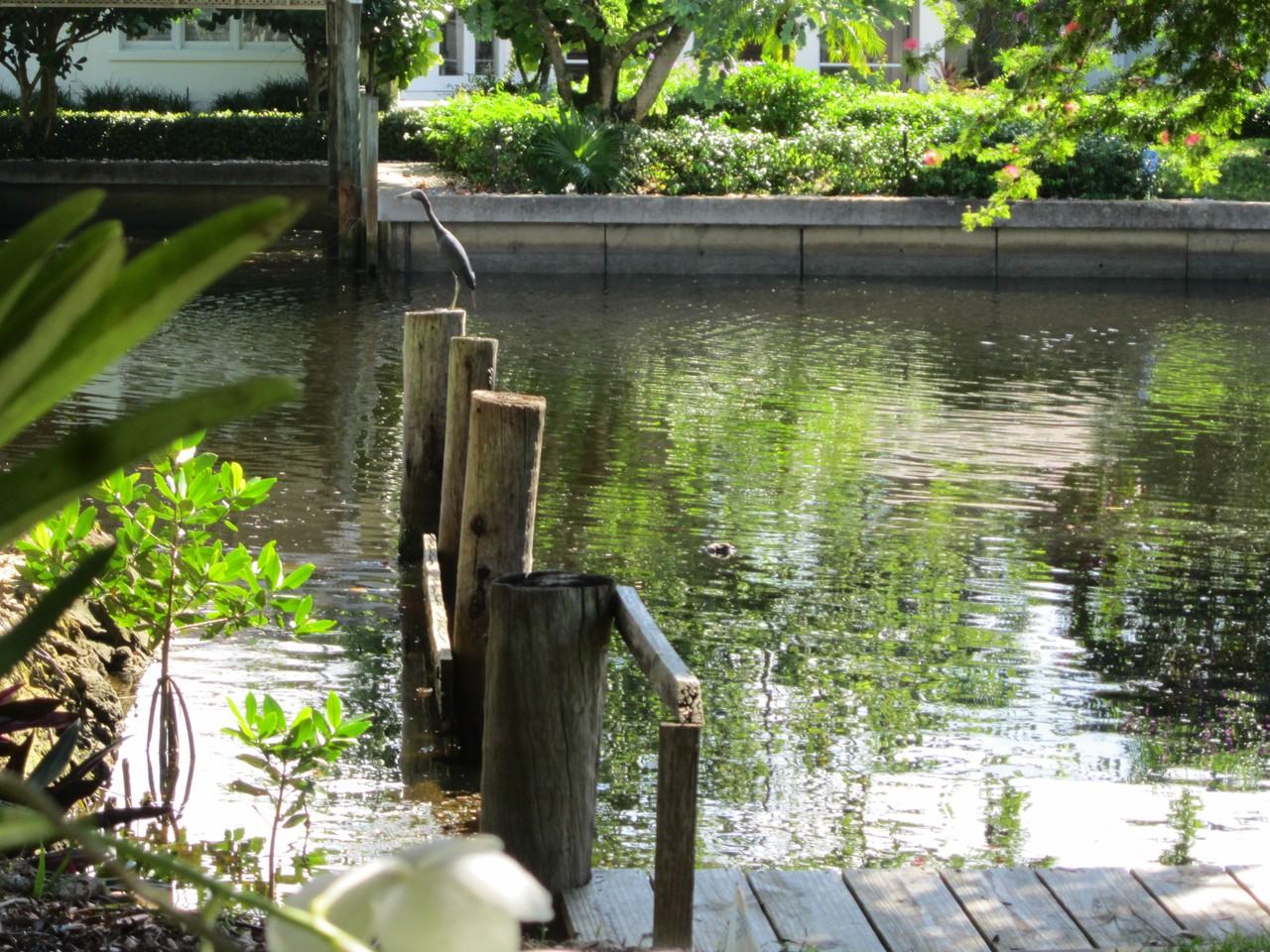 1545 3rd St S - Photo 2 of 46