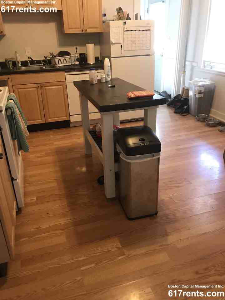 7 Webley St #1 - Photo 4 of 12