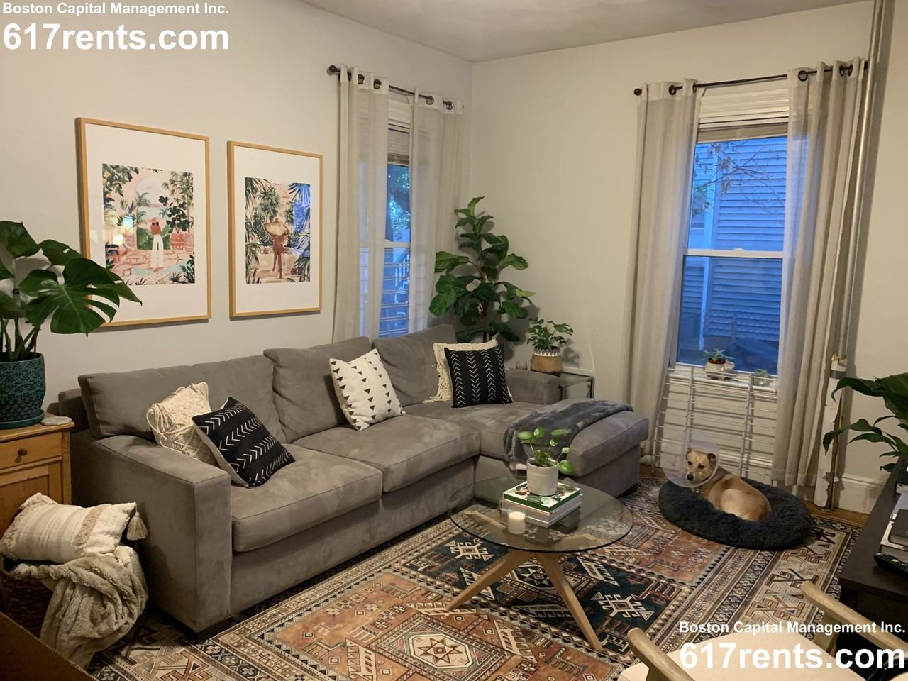 7 Webley St #1 - Photo 6 of 12
