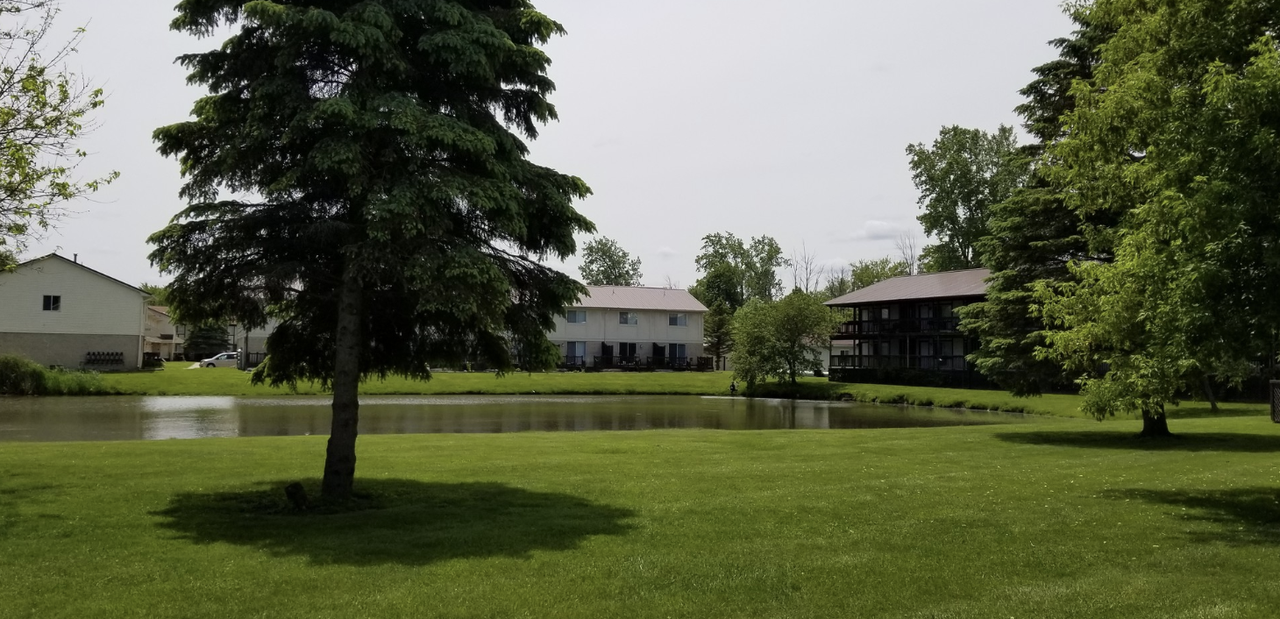 Golf Marina - Photo 7 of 13