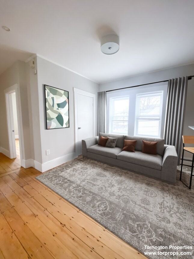 67 Wheatland Street #2 - Photo 3 of 11