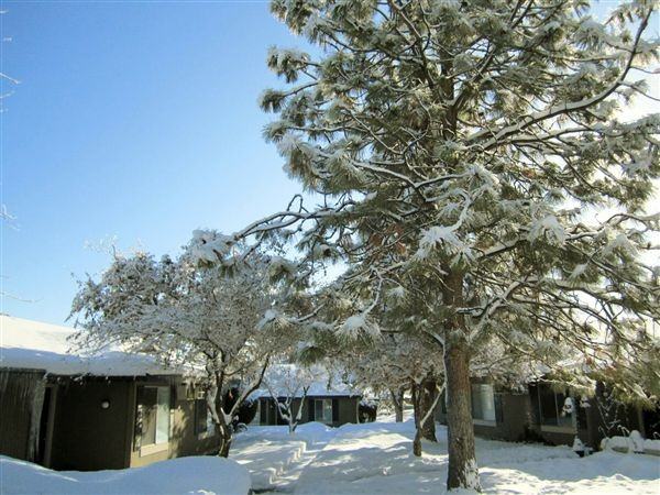 Glemoor Green Apartments - Photo 3 of 10