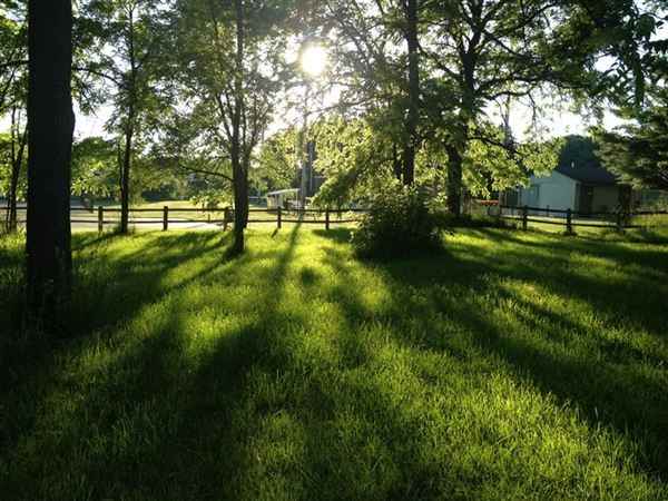 8471 Old M 72 - Photo 2 of 10