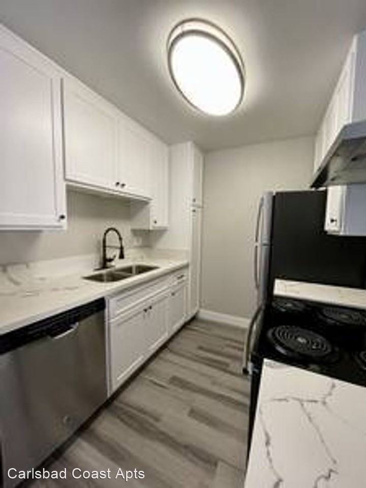 Carlsbad Coast - Photo 4 of 96