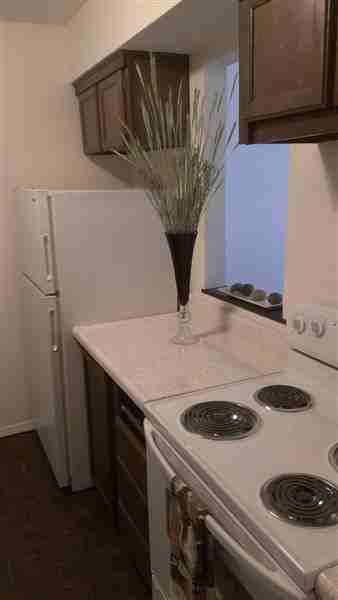 Pelican Hill - Photo 2 of 8