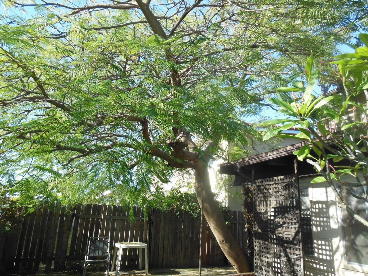 12238 Viarna Street - Photo 3 of 6