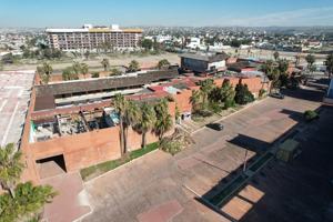 featured image of 7 Local 7