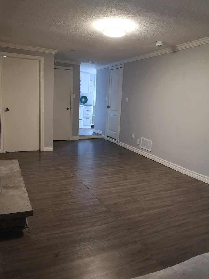 1319 Luna Court Basement - Photo 3 of 18