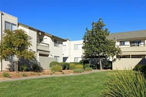 featured image of 411 14th Street