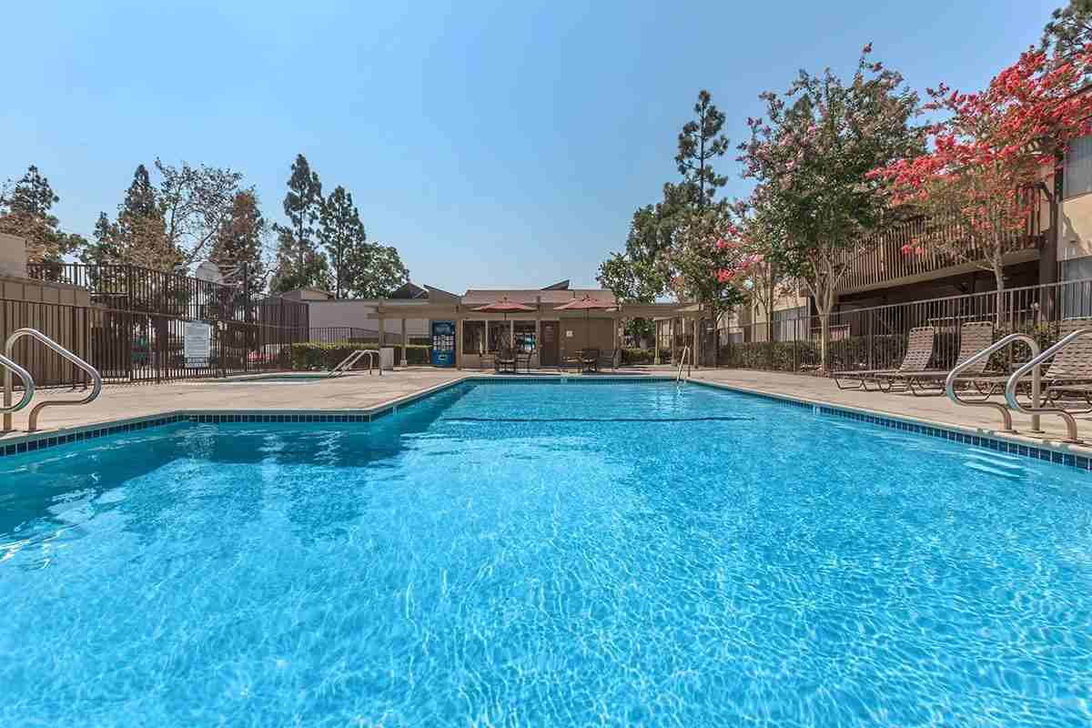 2944 E Frontera St - Photo 2 of 34