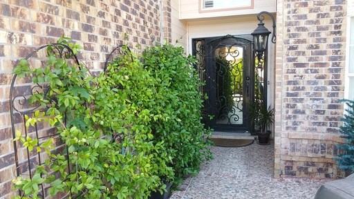 11524 Crazy Horse Dr - Photo 3 of 25