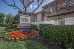 9802 Bloomfield Street - Photo 1 of 1