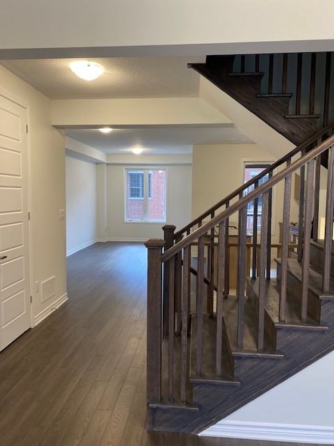 3389 Swordbill Street - Photo 2 of 34